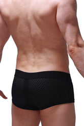 Boxer Reotier Bee Black